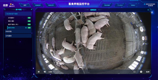 畜禽養(yǎng)殖監(jiān)控系統(tǒng)視頻監(jiān)控功能 畜禽養(yǎng)殖監(jiān)控系統(tǒng)視頻監(jiān)控功能