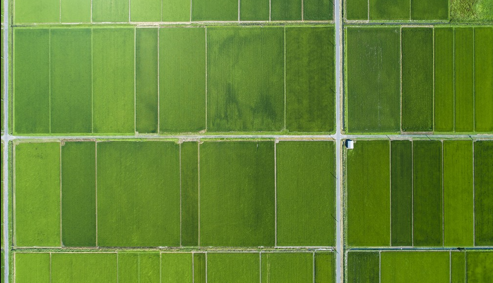 高標準農田(數(shù)字化、標準化)