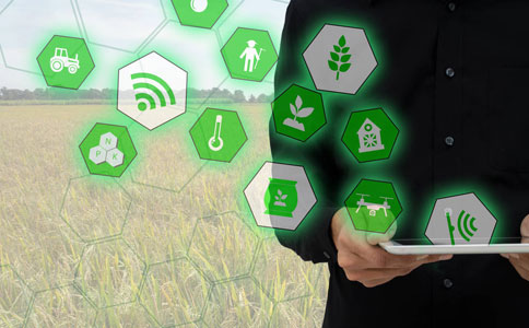 智慧農(nóng)業(yè)是什么，以及它如何改變農(nóng)業(yè)