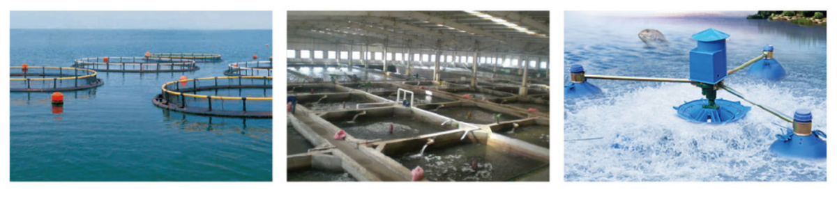 視頻監(jiān)控 視頻監(jiān)控