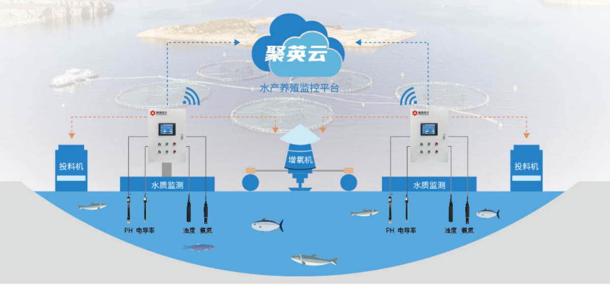 聚英云水產(chǎn)養(yǎng)殖 聚英云水產(chǎn)養(yǎng)殖