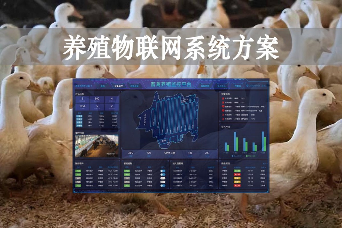 【智慧養(yǎng)殖】數(shù)字經(jīng)濟時代到來，養(yǎng)殖物聯(lián)網(wǎng)系統(tǒng)方案來了