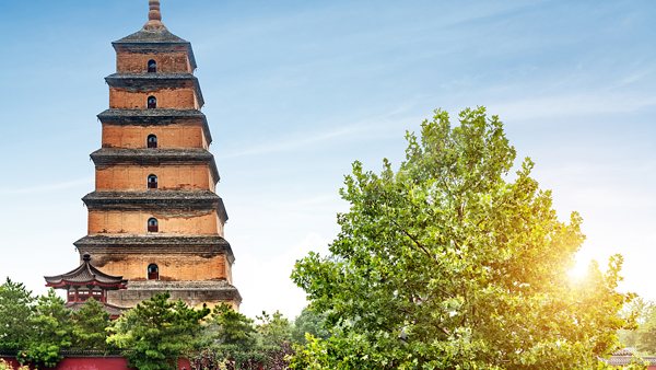 使用可持續(xù)建筑技術(shù)推動(dòng)變革