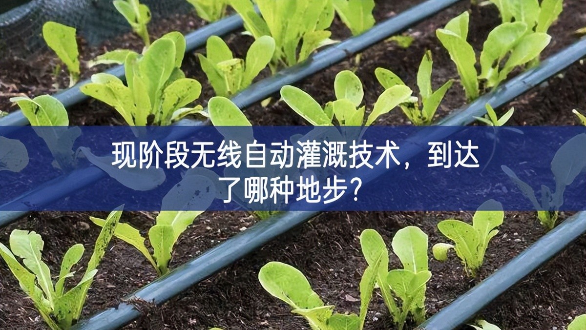 現(xiàn)階段無線自動灌溉技術(shù)，到達了哪種地步？