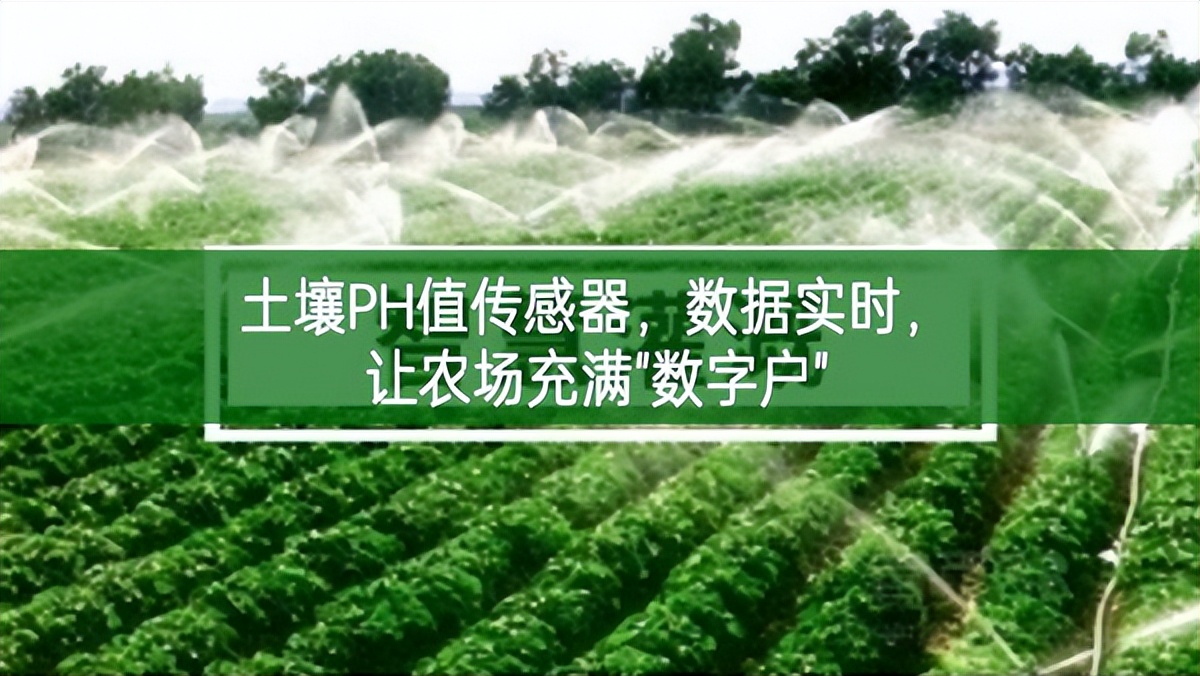 土壤PH值傳感器，數(shù)據(jù)實(shí)時(shí)，讓農(nóng)場(chǎng)充滿"數(shù)字戶"