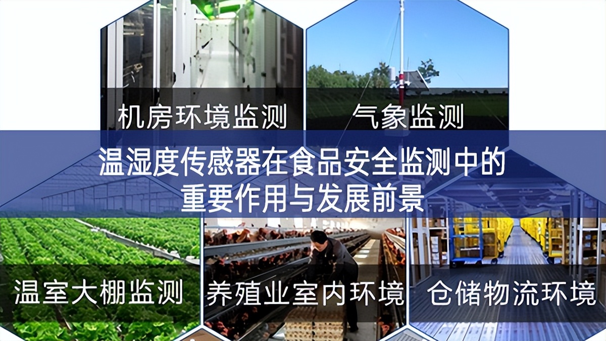 溫濕度傳感器在食品安全監(jiān)測(cè)中的重要作用與發(fā)展前景