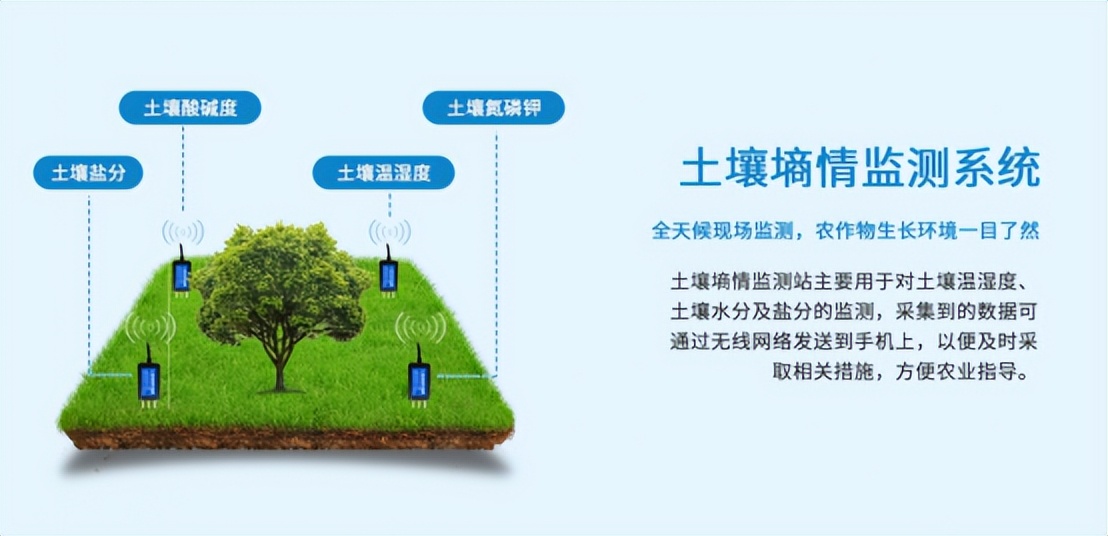 配合土壤墑情系統(tǒng)，維持育苗環(huán)境