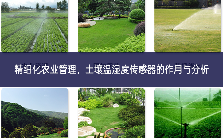精細(xì)化農(nóng)業(yè)管理，土壤溫濕度傳感器的作用與分析