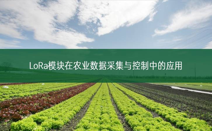 LoRa模塊在農(nóng)業(yè)數(shù)據(jù)采集與控制中的應用