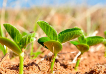 選擇土壤溫濕度傳感器時(shí)要注意哪些？
