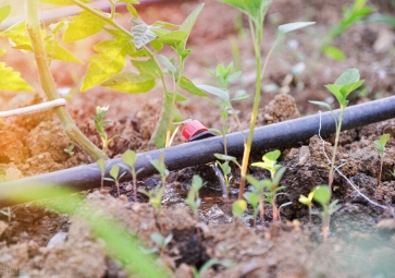 節(jié)水灌溉系統(tǒng)解決方案，用農(nóng)業(yè)物聯(lián)網(wǎng)技術，科學灌溉