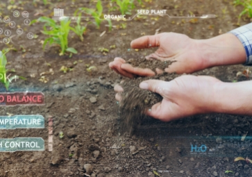 「物聯(lián)網(wǎng)」溫濕度傳感器在智慧農(nóng)業(yè)中起到什么樣的作用？