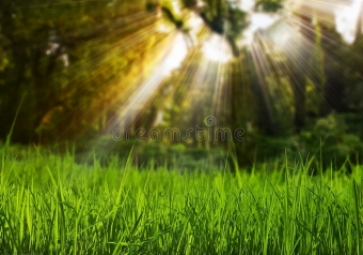 什么是光照度傳感器？