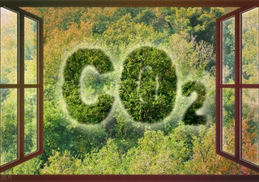 聚英電子：二氧化碳濃度達到了多少會危害人體的健康？