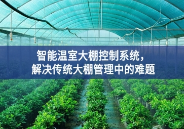 「智慧農業(yè)」智能溫室大棚控制系統，解決傳統大棚管理中的難題