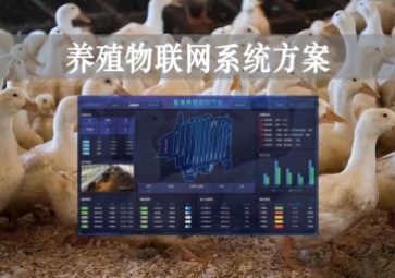 「智慧養(yǎng)殖」數(shù)字經(jīng)濟時代到來，養(yǎng)殖物聯(lián)網(wǎng)系統(tǒng)方案來了