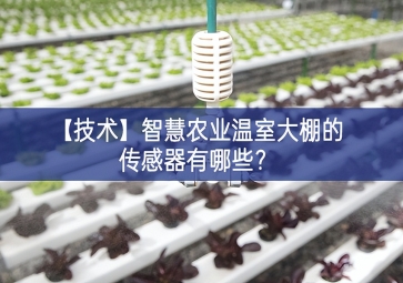 「技術(shù)」智慧農(nóng)業(yè)溫室大棚的傳感器有哪些？