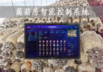 「智慧養(yǎng)殖」菌菇房智能控制系統(tǒng)，智能控溫，助力大棚食用菌種植