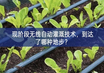 現(xiàn)階段無線自動(dòng)灌溉技術(shù)，到達(dá)了哪種地步？