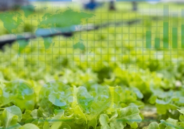 生成式人工智能在農業(yè)中的應用