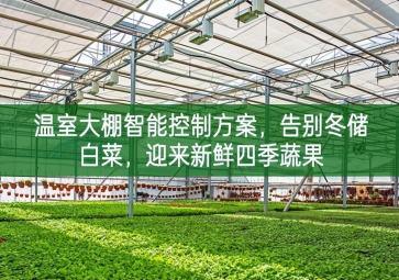 「智慧農(nóng)業(yè)」溫室大棚智能控制方案，告別冬儲白菜，迎來新鮮四季蔬果