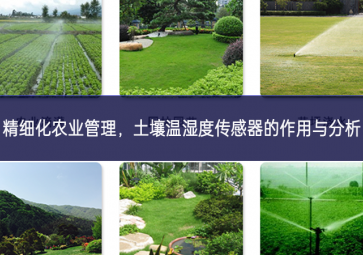 精細(xì)化農(nóng)業(yè)管理，土壤溫濕度傳感器的作用與分析