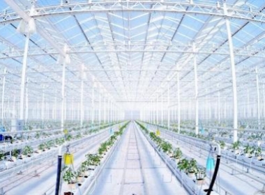 智能農(nóng)業(yè)自控系統(tǒng)